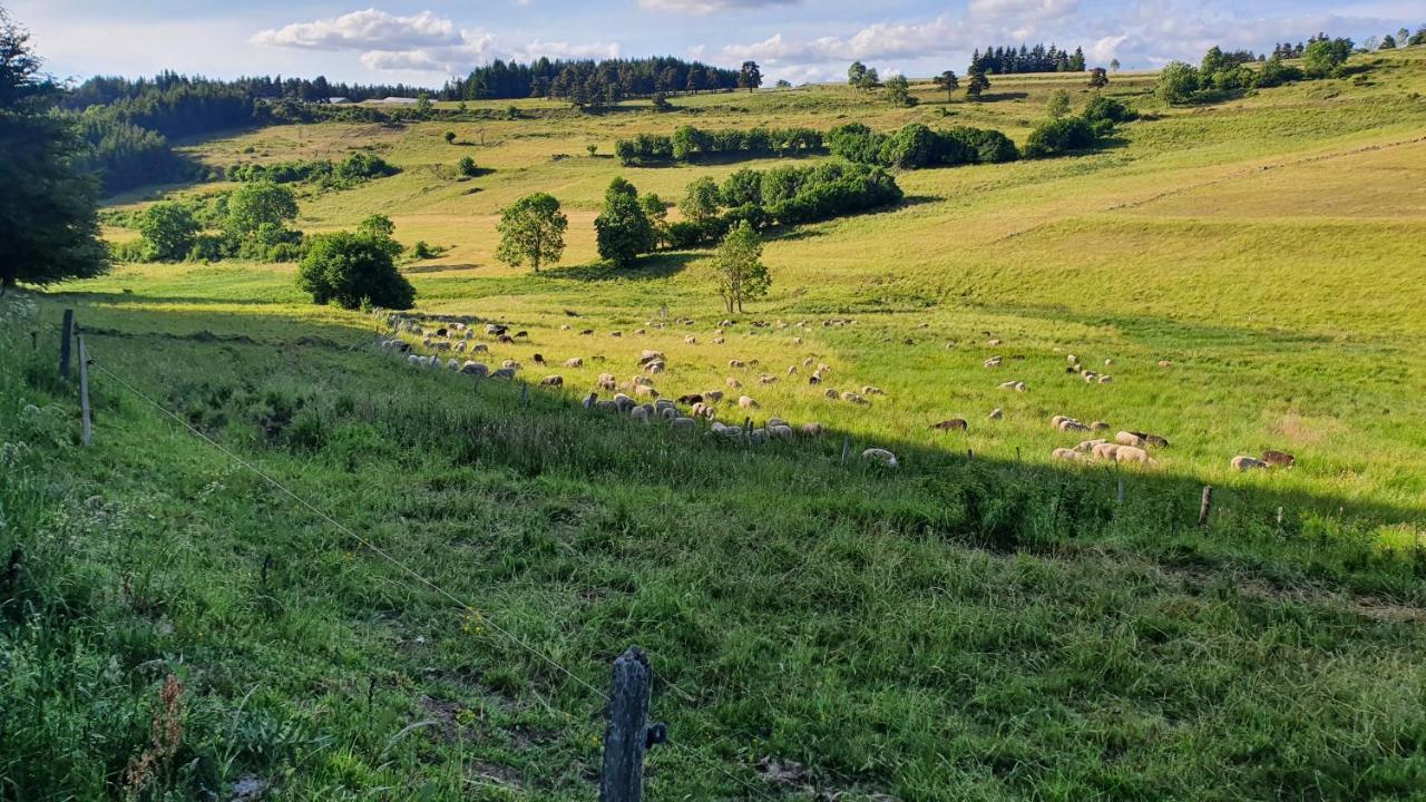 Les Gites Estaou Treillo Le Monastier sur Gazeille Exterior foto