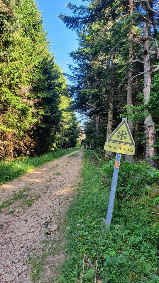 Les Gites Estaou Treillo Le Monastier sur Gazeille Exterior foto