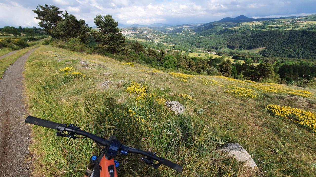 Les Gites Estaou Treillo Le Monastier sur Gazeille Exterior foto